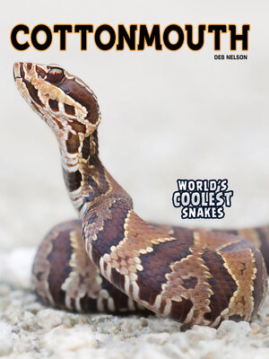 cover image of Cottonmouth